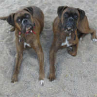 Siblings Emma & Captain